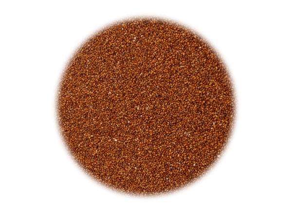 Brown Teff Grain